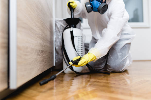 Trusted Rio Del Mar, CA Pest Control Experts