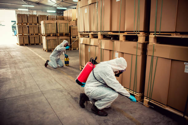 Best Best Pest Control Companies  in Rio Del Mar, CA