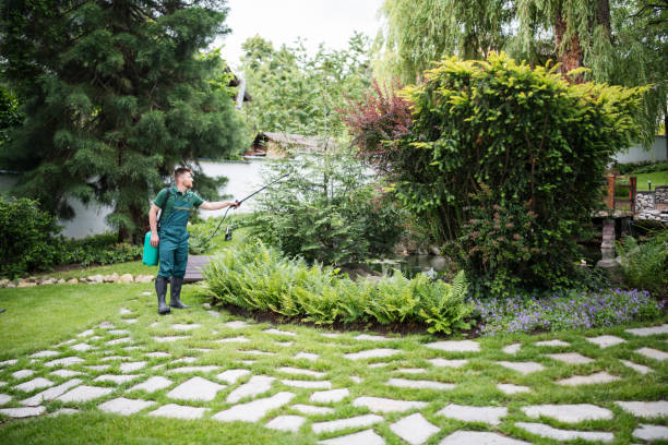 Wildlife Control Services in Rio Del Mar, CA