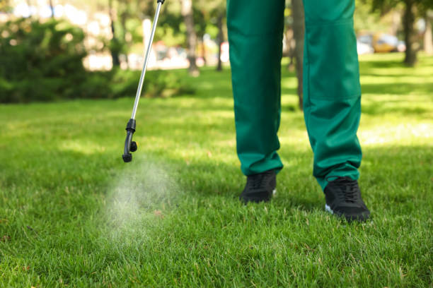 Best Best Pest Control Companies  in Rio Del Mar, CA