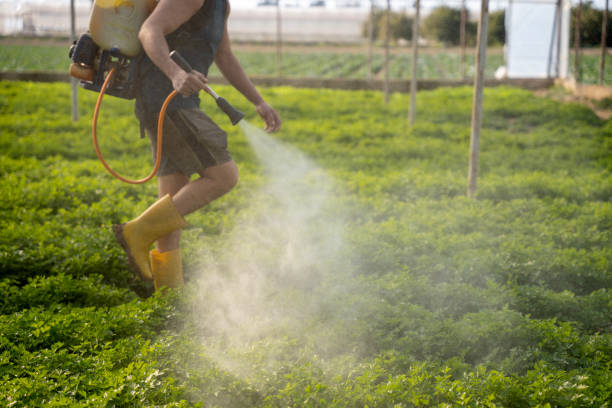 Best Affordable Pest Control Services  in Rio Del Mar, CA