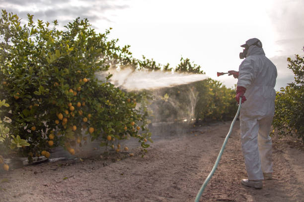 Best Local Pest Control Services  in Rio Del Mar, CA